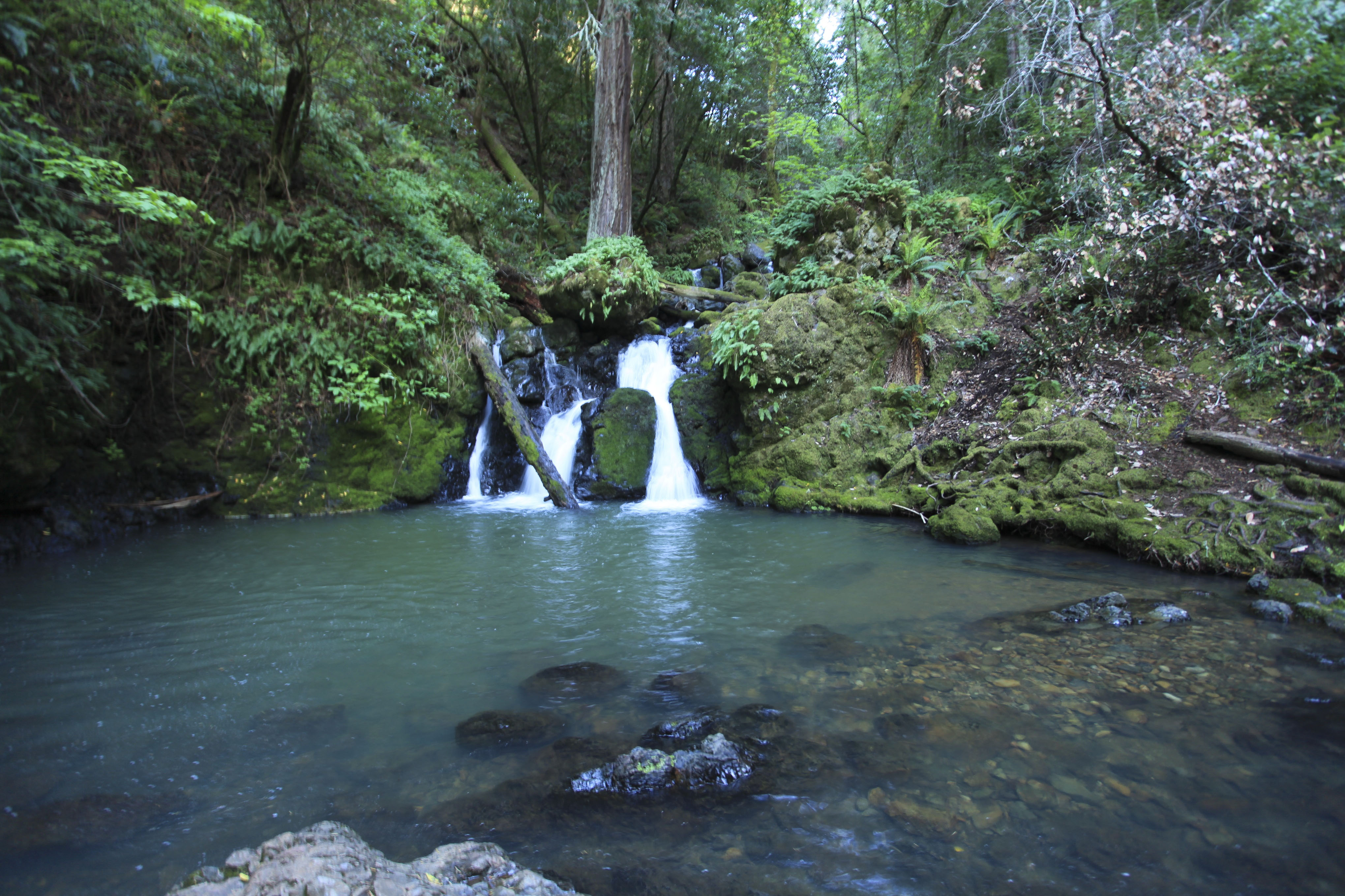 Flickr Credit: Yinghai Cataract Trail, California