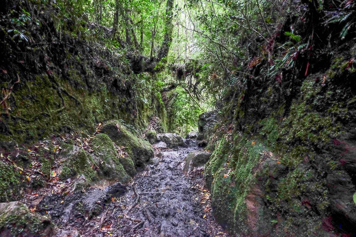 Cochamo (trail)