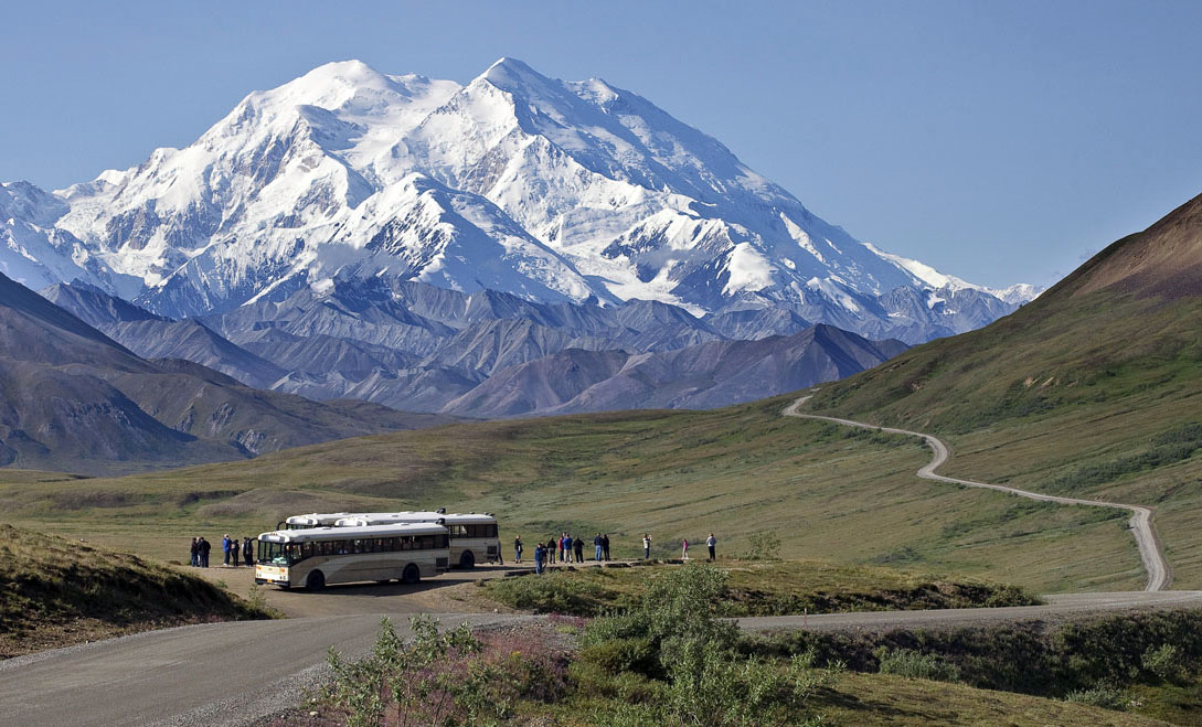 Denali National Park tour bus