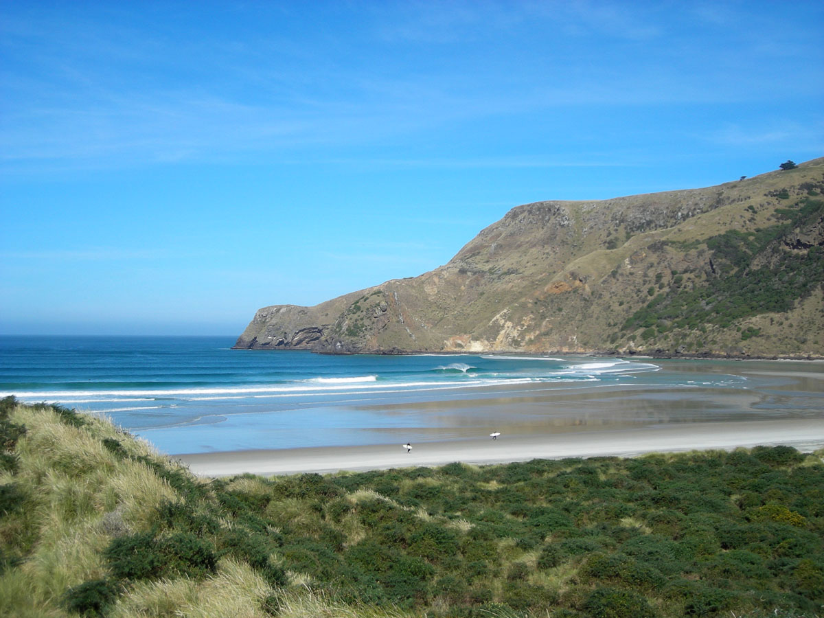 Dunedin New Zealand Surfing