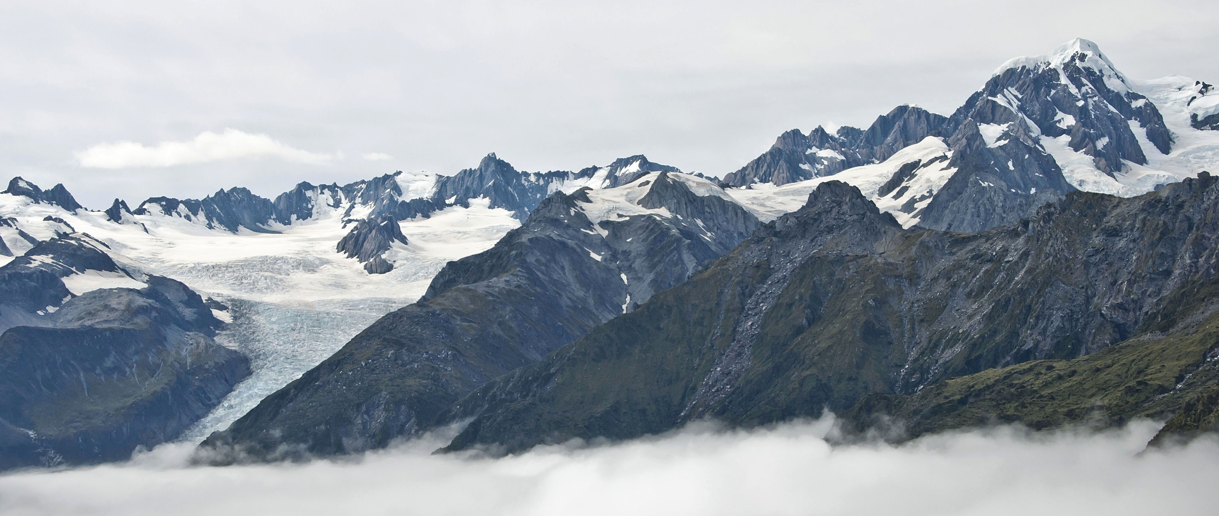 Fox Glacier