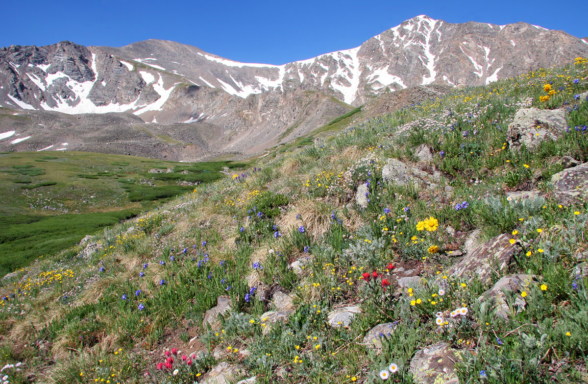 Grays and Torreys Peak