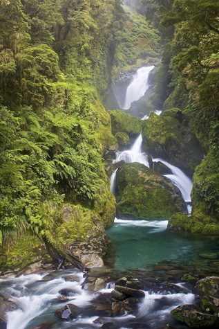 Hiking in New Zealand