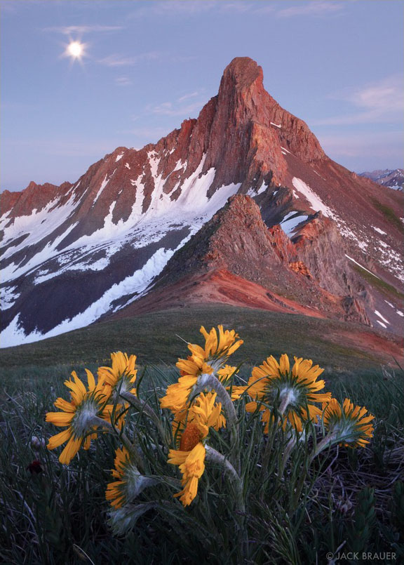 Jack Brauer Wetterhorn Moonflowers