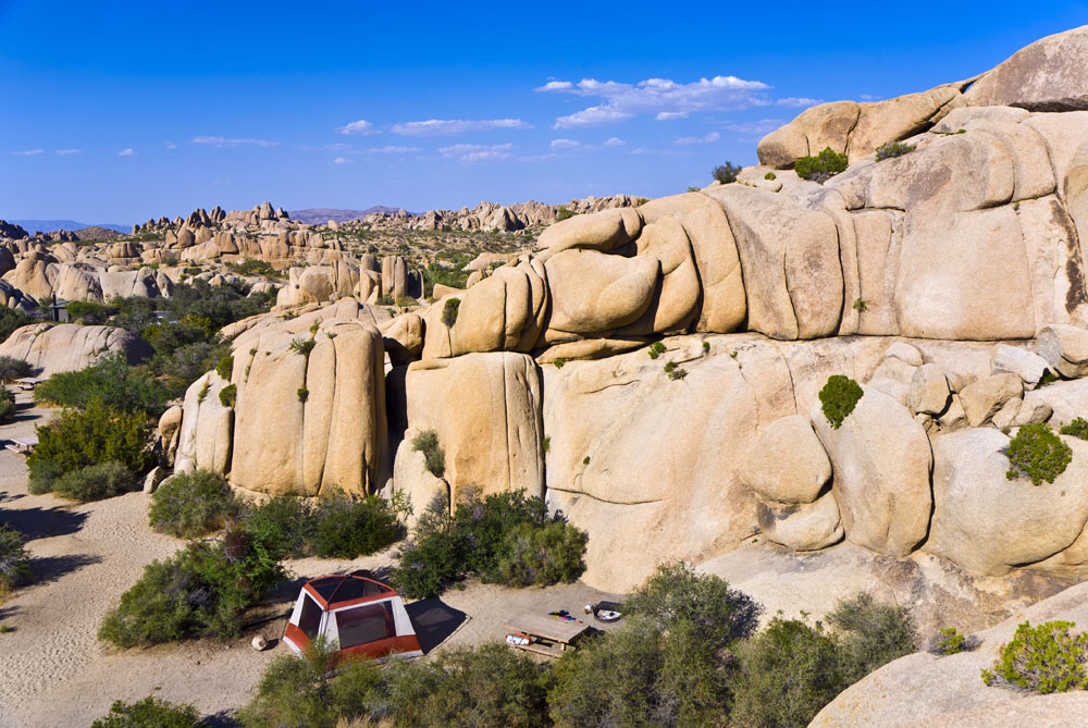 Joshua Tree climbing