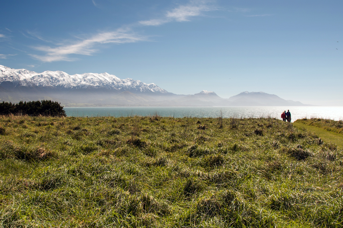 Kaikoura Peninsula Walkway (Andrea Schaffer)