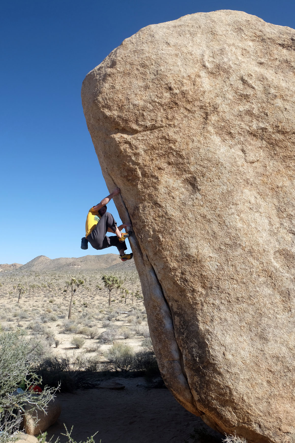 La Sportiva Genius bouldering