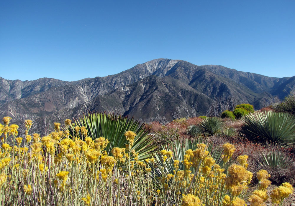 Mt. Baldy California