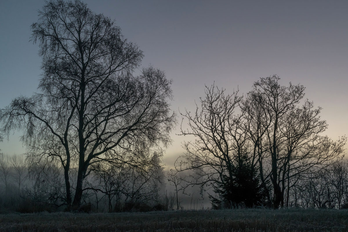 Objectif Nikon D5300 et 18-140mm