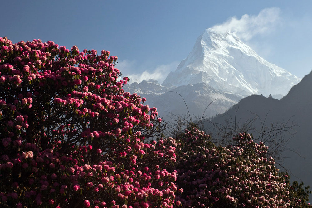 Nilgiri on Annapurna Circuit