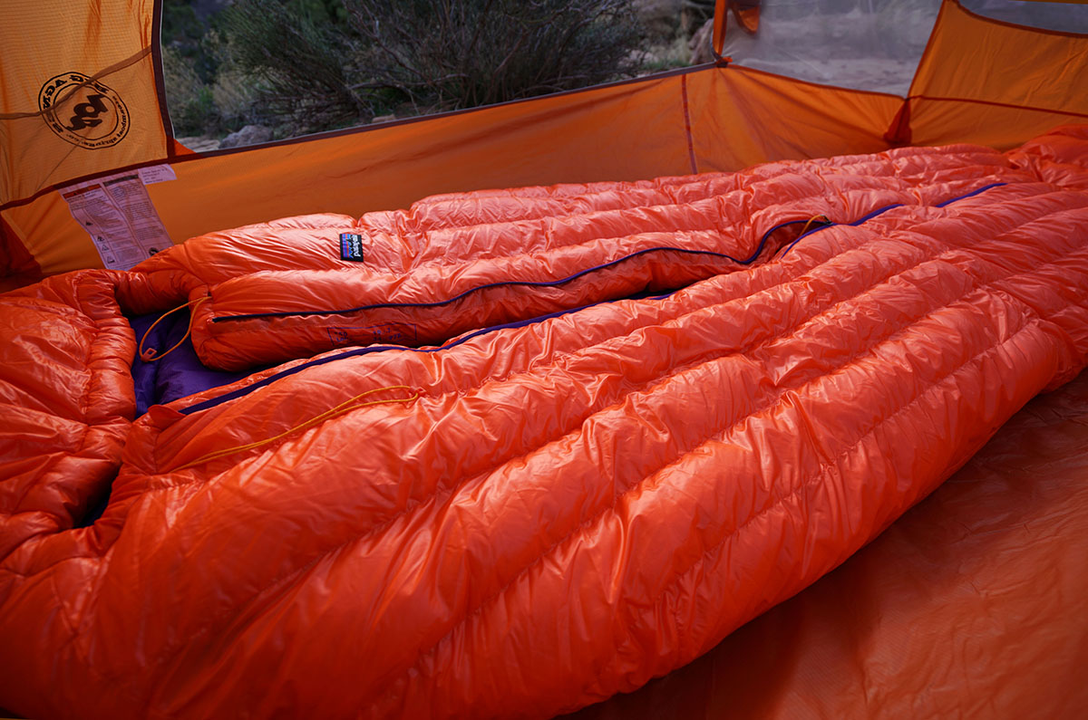 Patagonia 850 Down Sleeping Bag (loft)