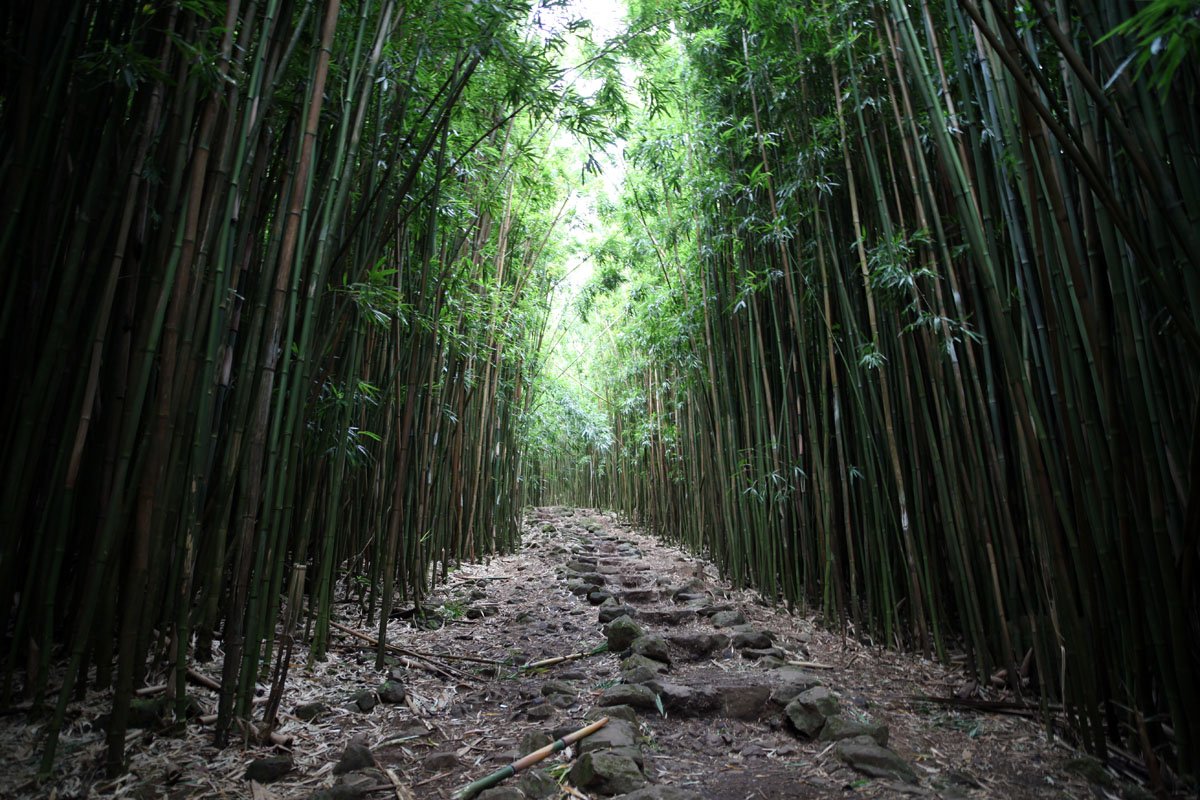 Pipiwai Trail Maui