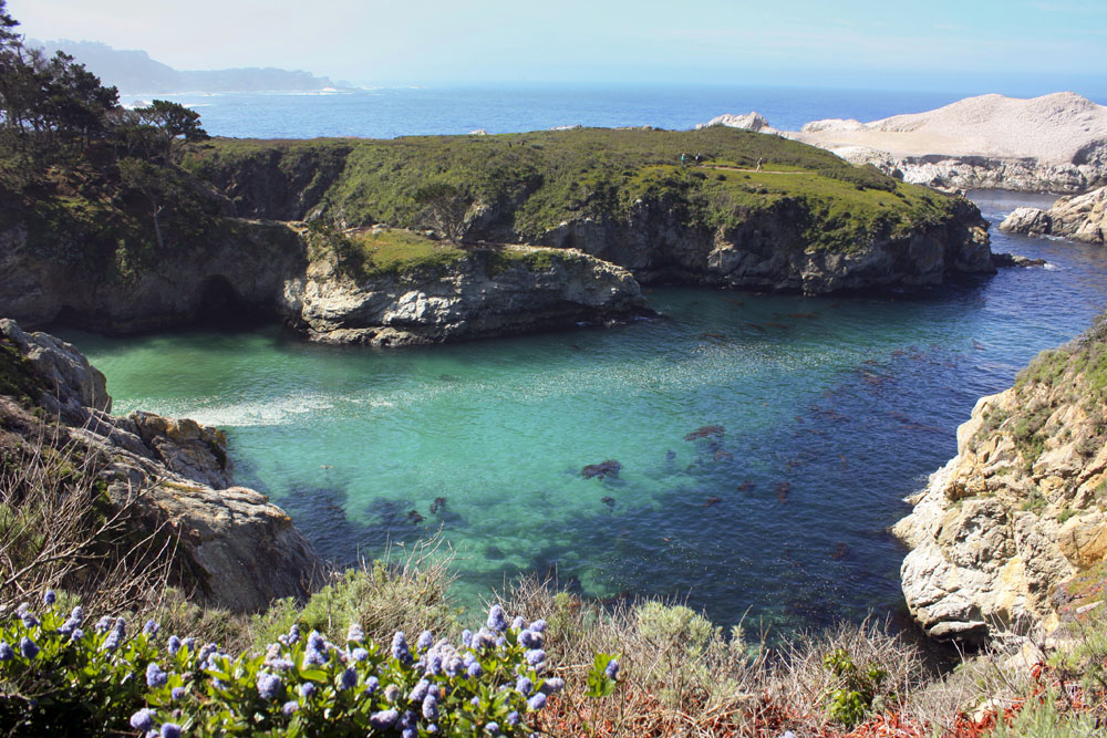  Point Lobos State Reserve California