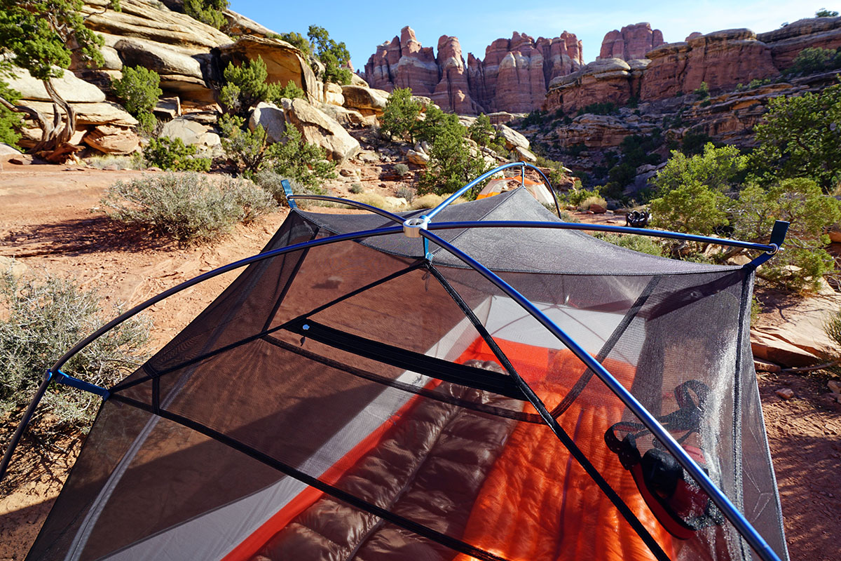 REI Quarter Dome (pole structure)