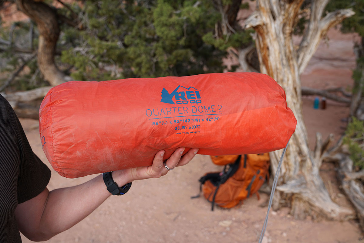 REI Quarter Dome (stuff sack)