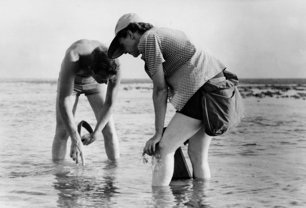 Rachel Carson