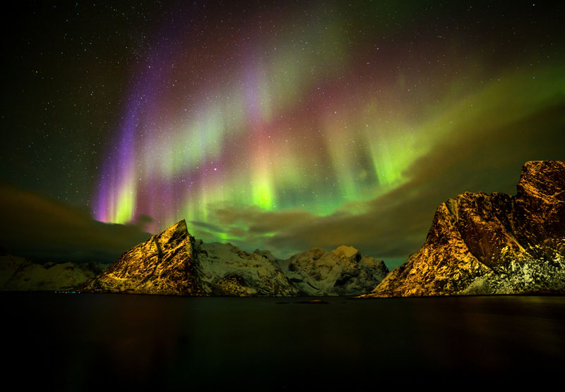 Reine Northern Lights