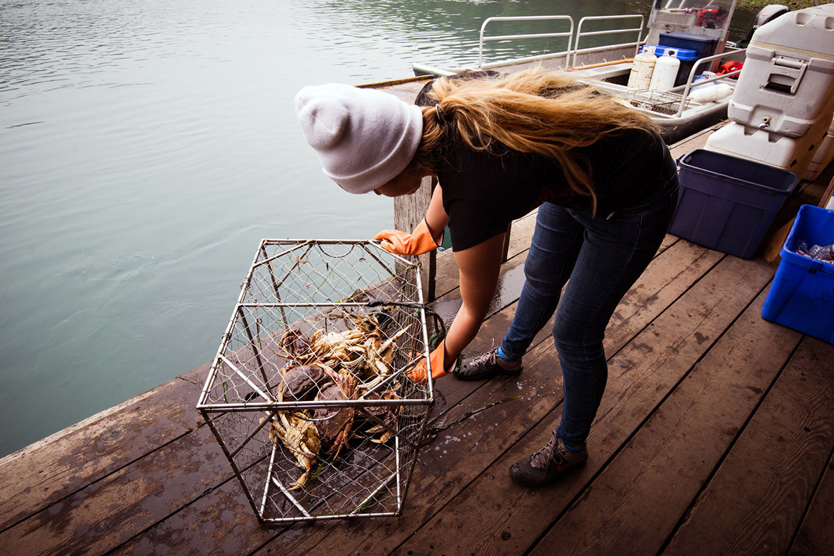 West Coast Trail (crab)