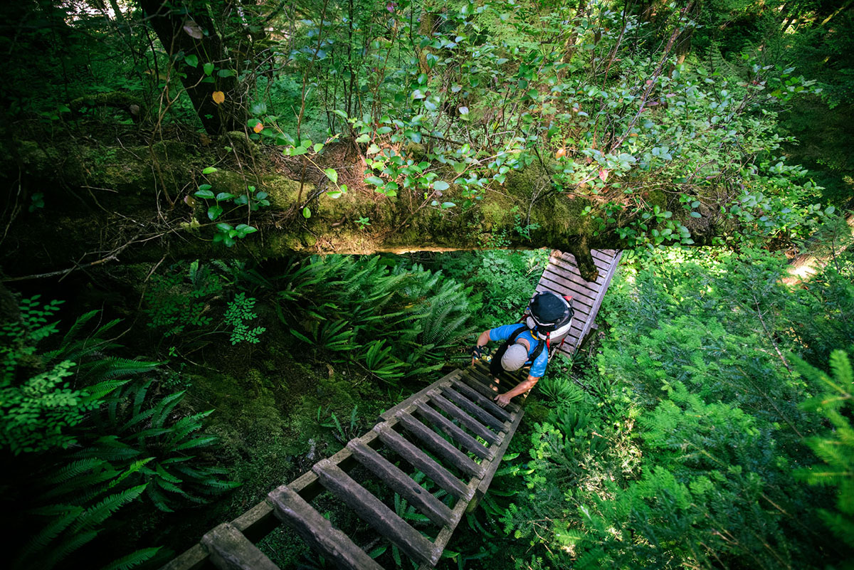 West Coast Trail (ladder 2)