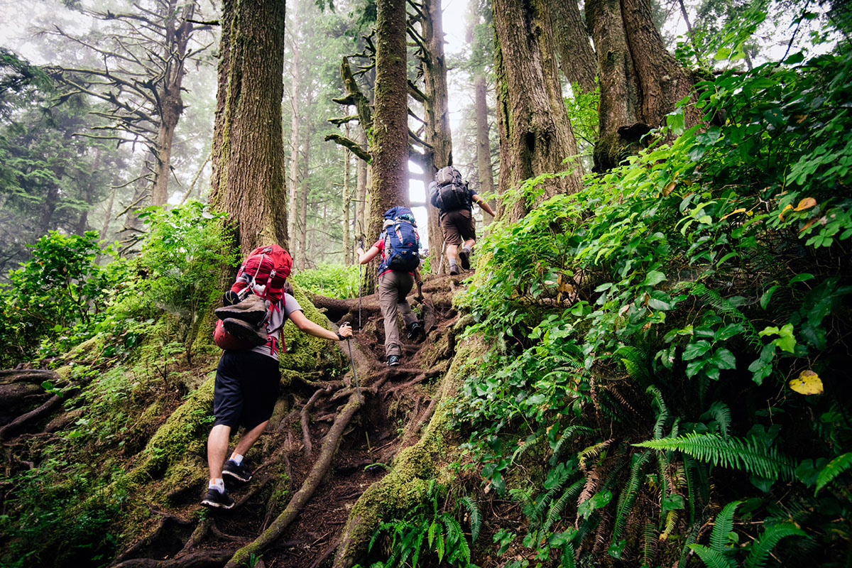 The West Coast Trail: Vancouver Island's Iconic Hike | Switchback Travel