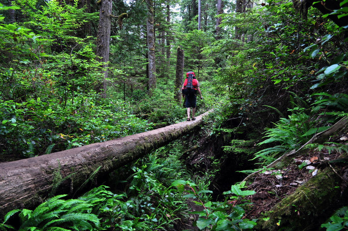 West Coast Trail crossing
