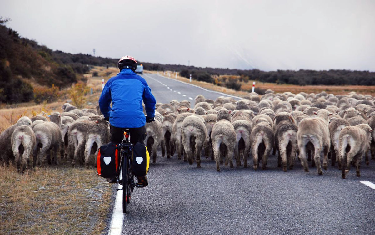 Cycling in New Zealand