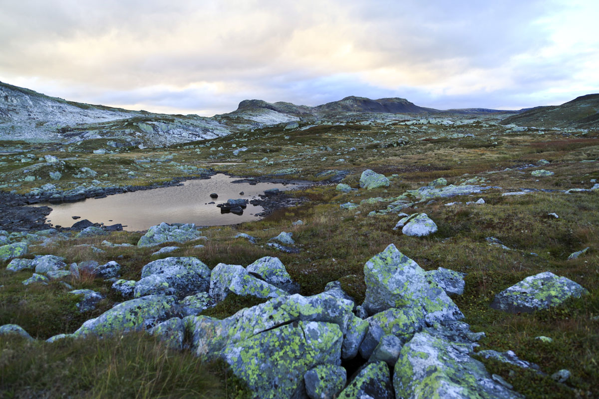 Hardangervidda Plateau, Norway