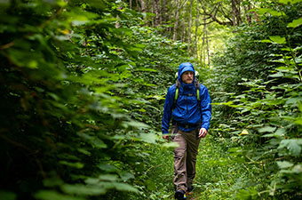 Marmot PreCip Eco jacket (hiking through forest)