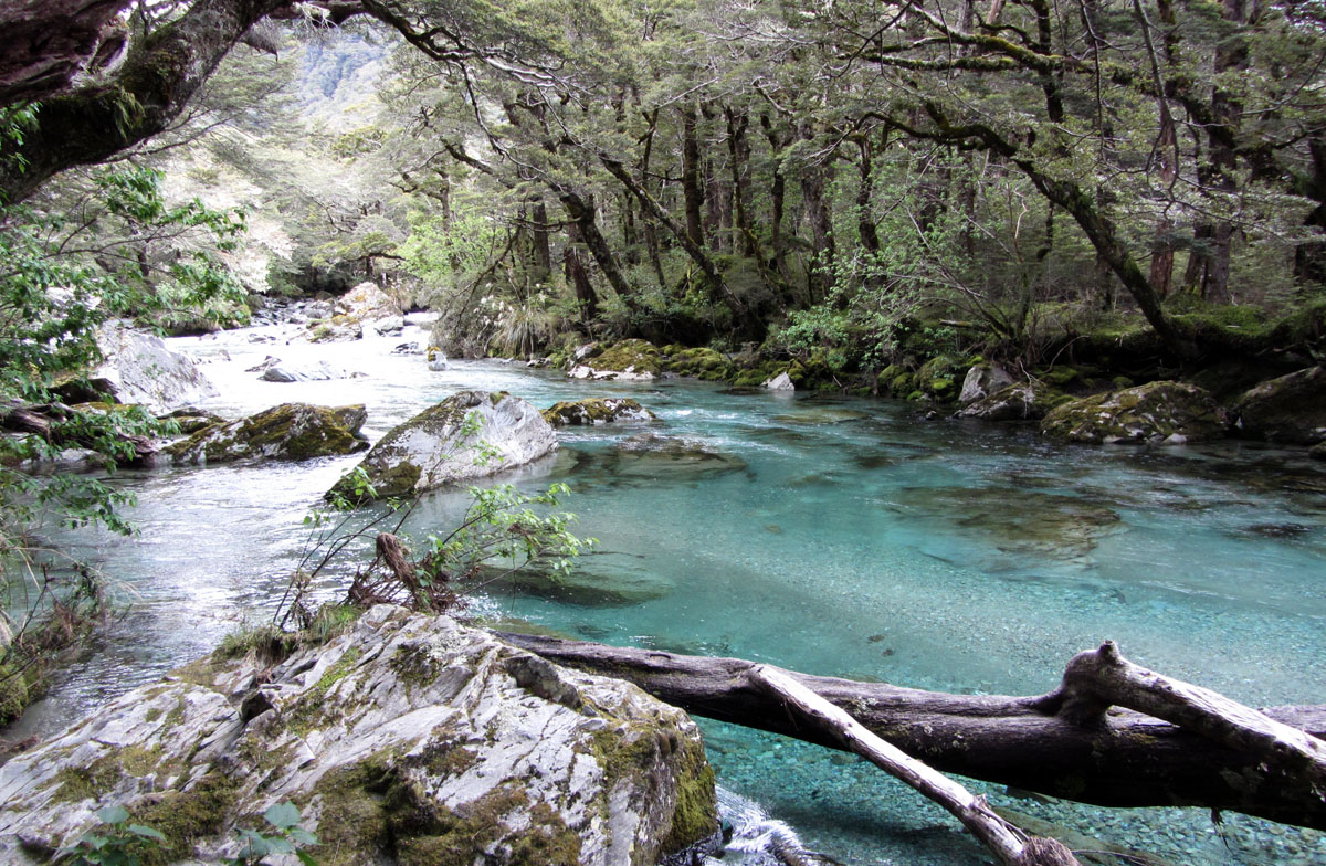 Routeburn Track, New Zealand