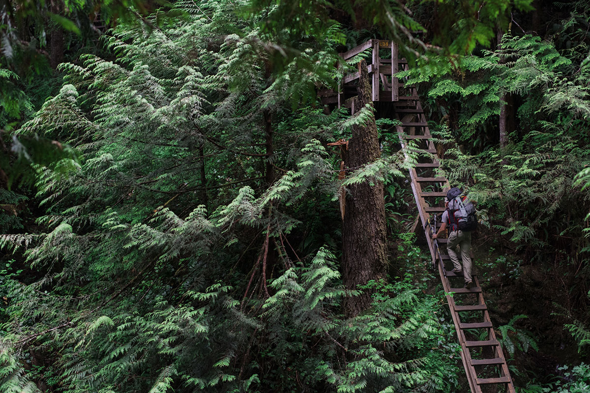 Atomisk Diskutere varemærke The West Coast Trail: Vancouver Island's Iconic Hike | Switchback Travel