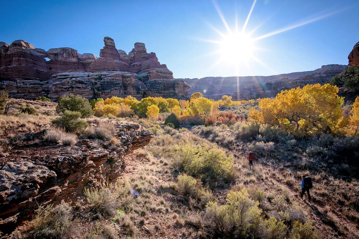 salt creek canyon (header)