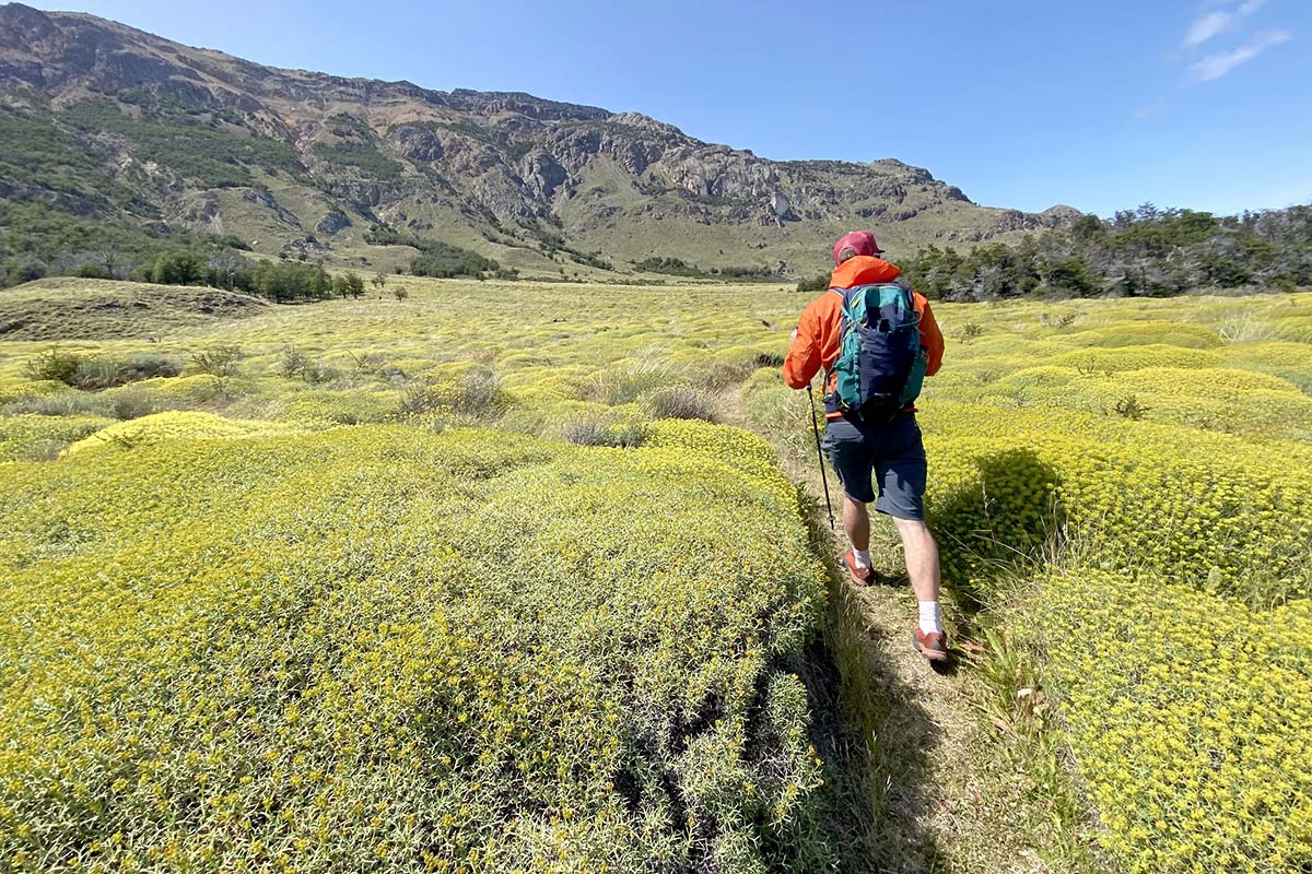 Arc'teryx Konseal AR approach shoe (hiking in green bushes)