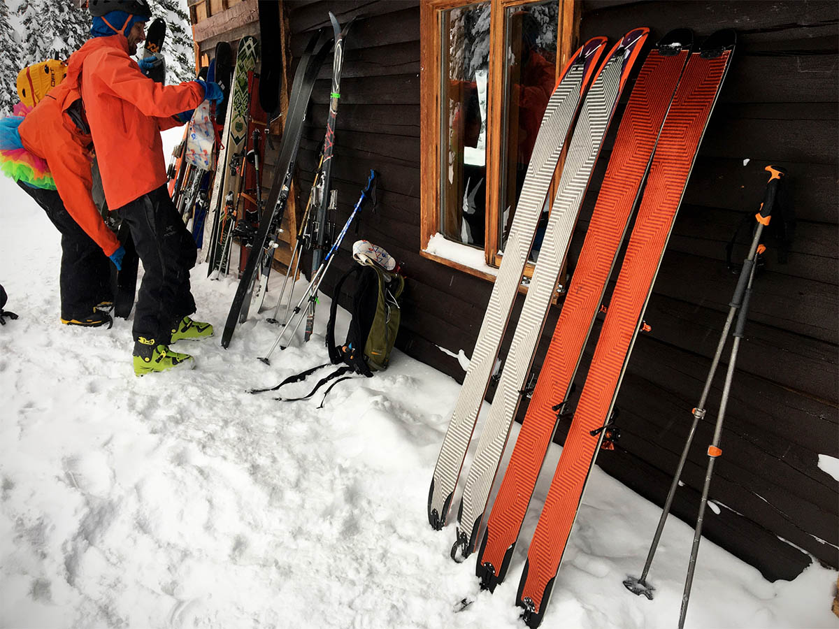 Black Diamond Climbing Skins (lined up)