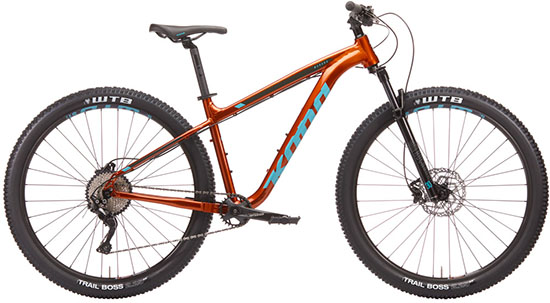 cheap trail bikes