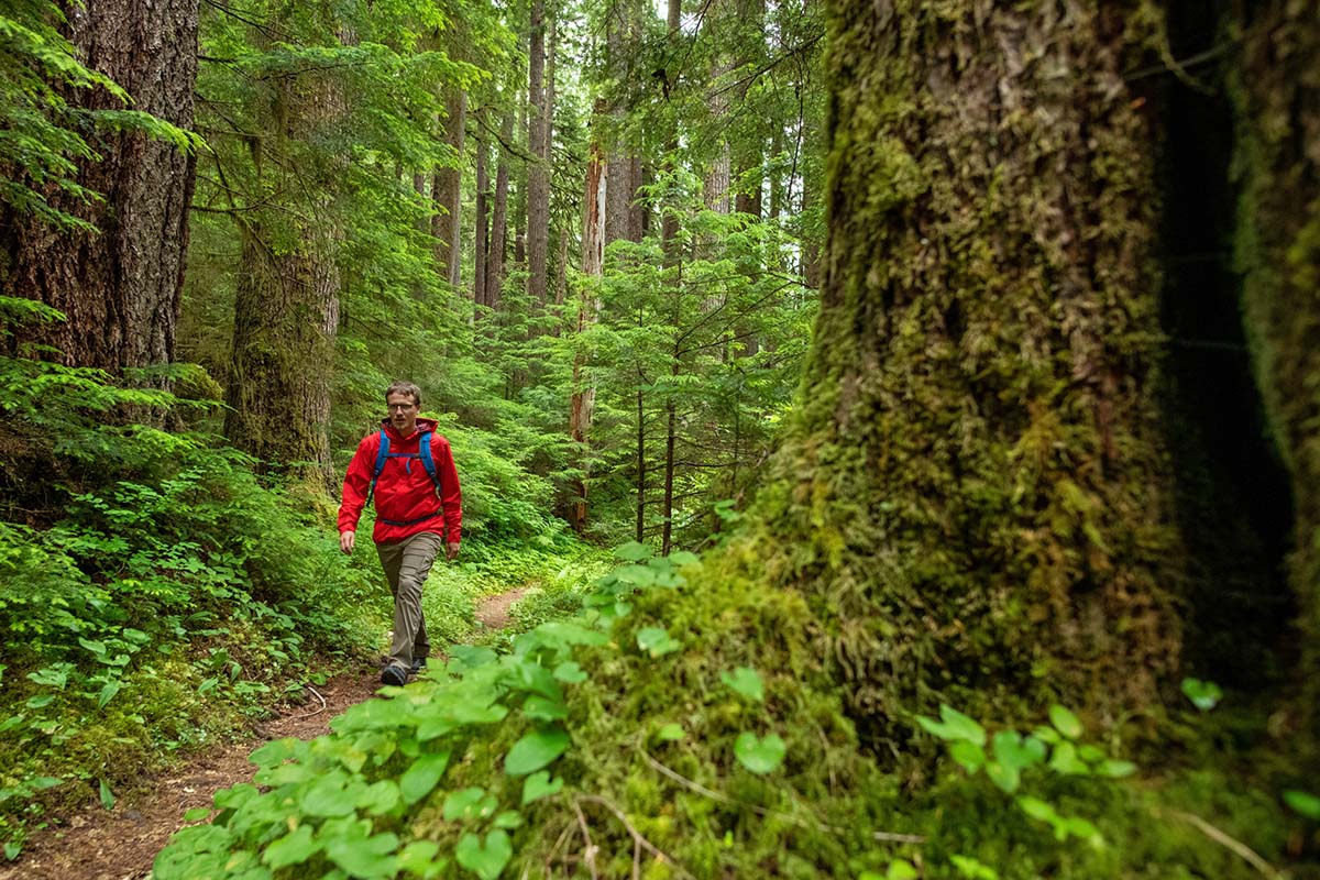 La Sportiva Spire GTX (hiking in rainforest)