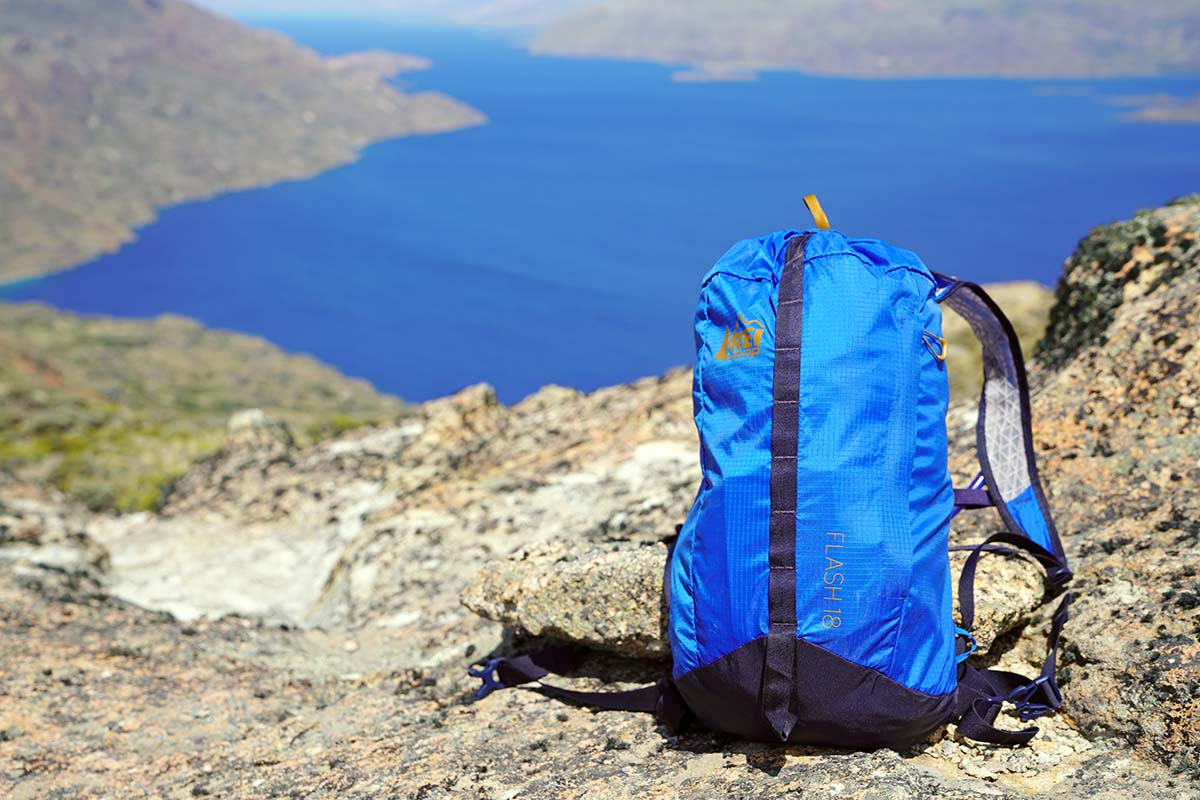 REI Co-op Flash 18 Pack (posed at viewpoint above lake)