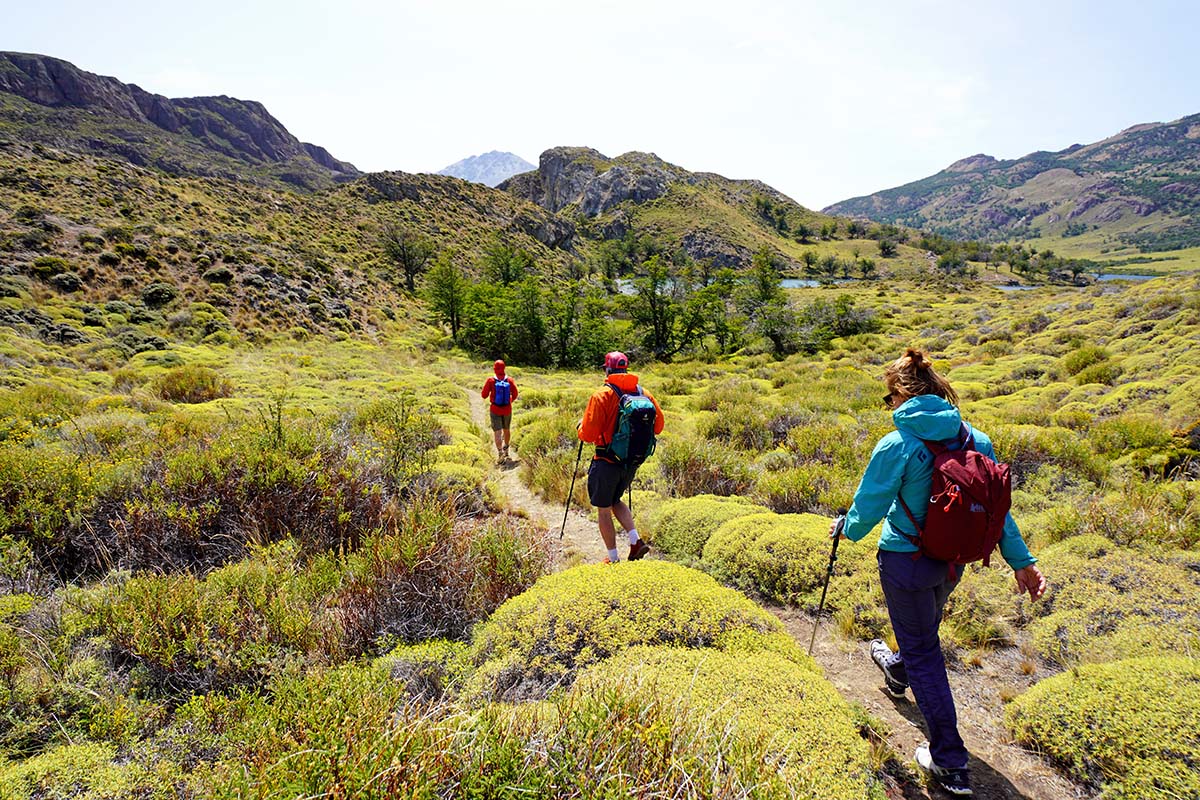 REI Co-op Flash 22 Pack (hiking in green field)