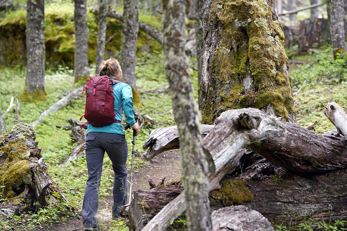 REI Co-op Flash 22 Pack (looking up in forest)