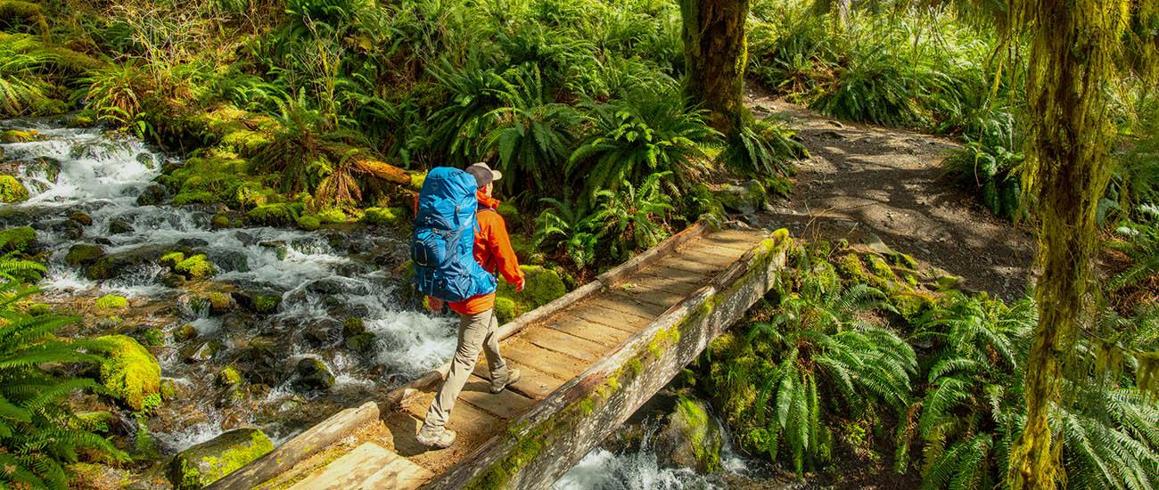 Backpacking pack (hiking over bridge in Hoh Rainforest)