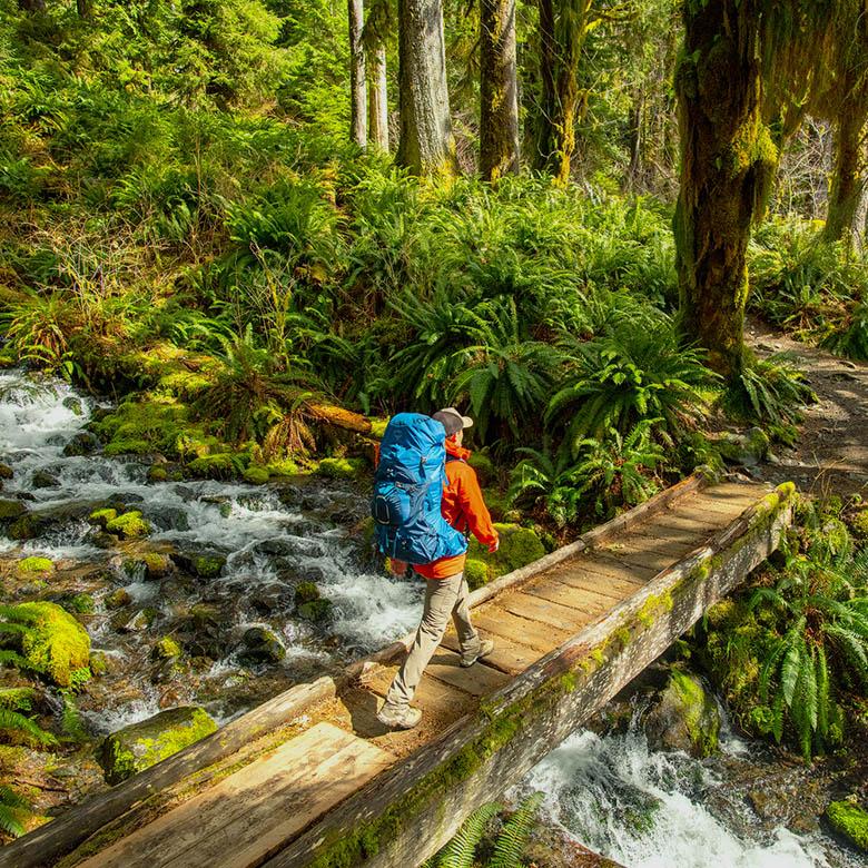 Backpacking pack (hiking over bridge in Hoh Rainforest)