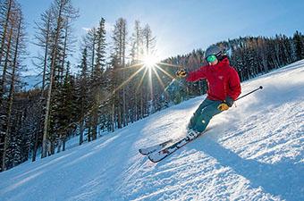 NEW $150 LEKI Bones Trigger S Compatible Ski Poles 125CM 50" Downhill Skiing 
