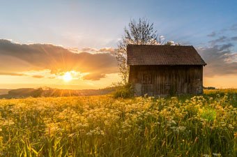 Canon 10-18mm lens nature phot