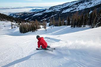 Downhill Skis (turning on groomed run)