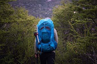 Gregory Stout 70 backpack (in dense forest)