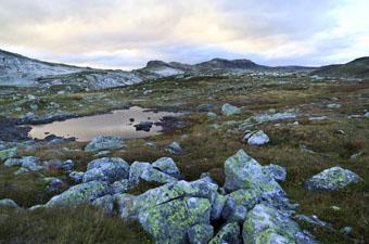 Hardangervidda, Norway