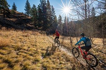 Mountain Bikes Pricing