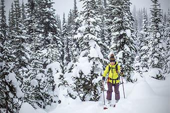 Patagonia SnowDrifter ski jacket (touring through trees)