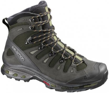 Salomon Quest 4D 2 men's boots